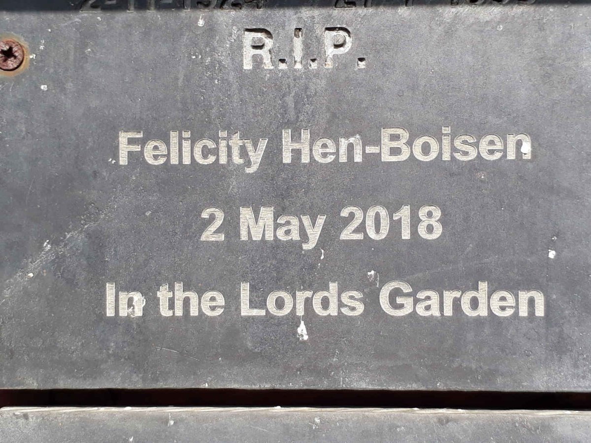 BOISEN Felicity, HEN -2018