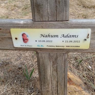 ADAMS Nahum 2022-2022