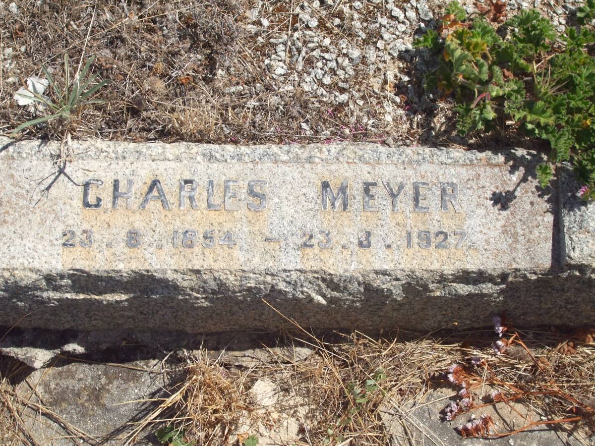 MEYER Charles 1854-1927