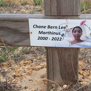 MARTHINUS Chane Bern Lee 2000-2022