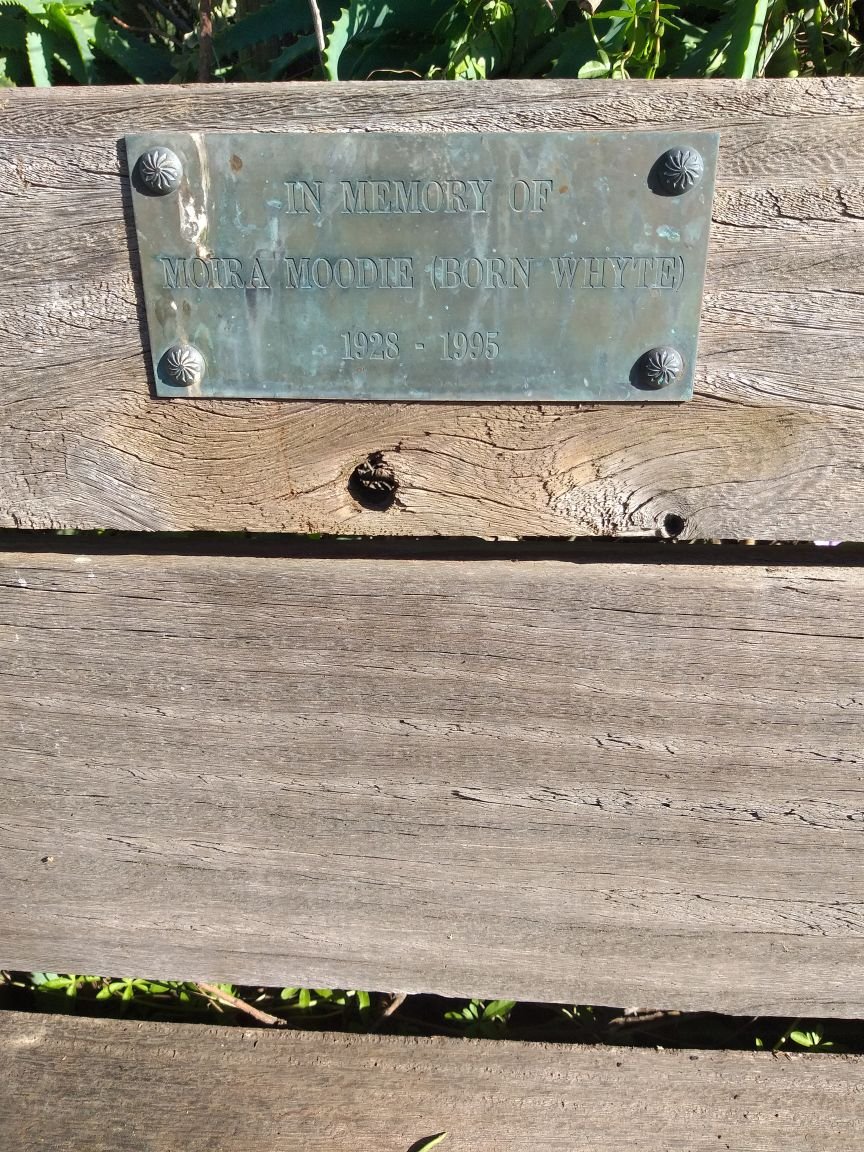 MOODIE Moira nee WHYTE 1928-1995
