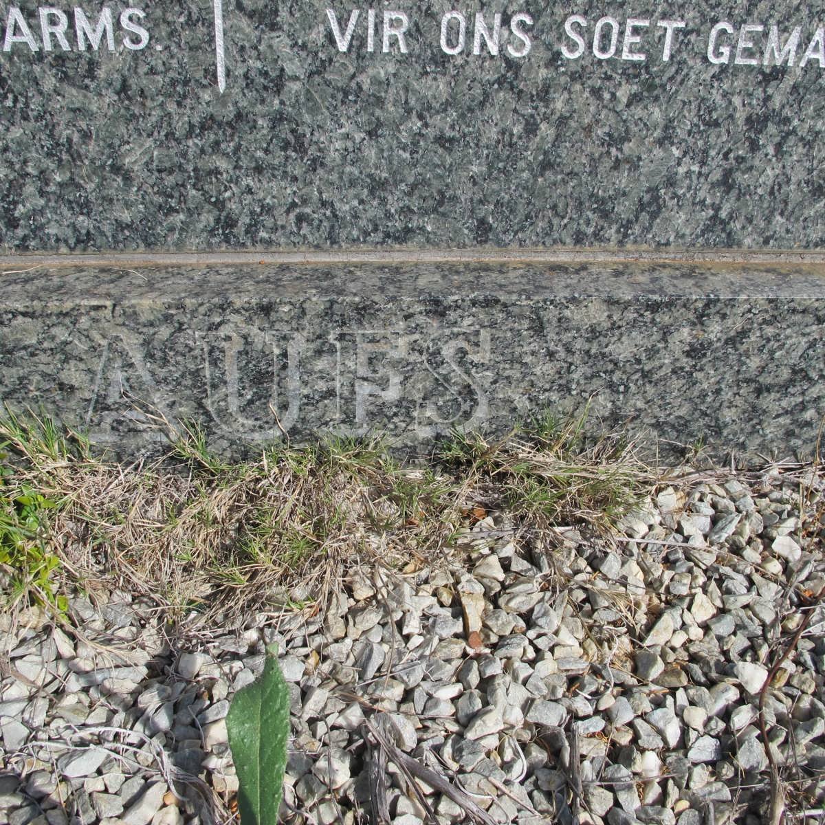 LAUFS