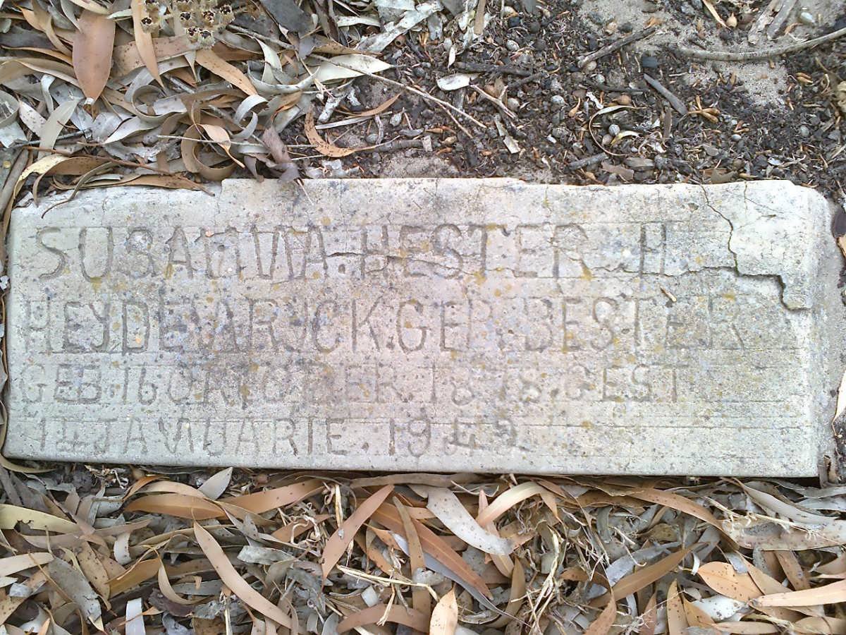 HEYDENRYCK Susanna Hester H. nee BESTER 1878-1942