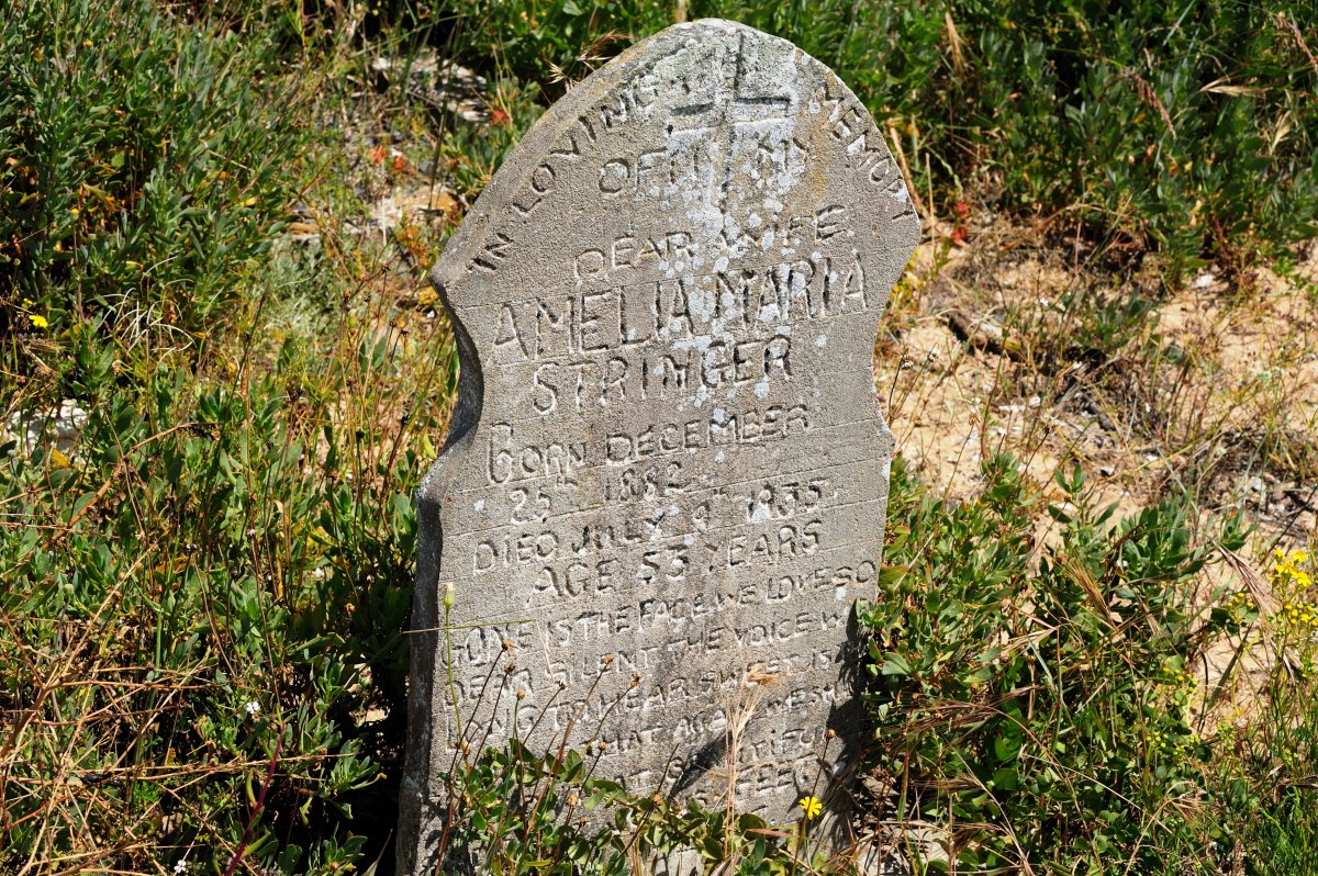 STRINGER Amelia Maria 1882-1935