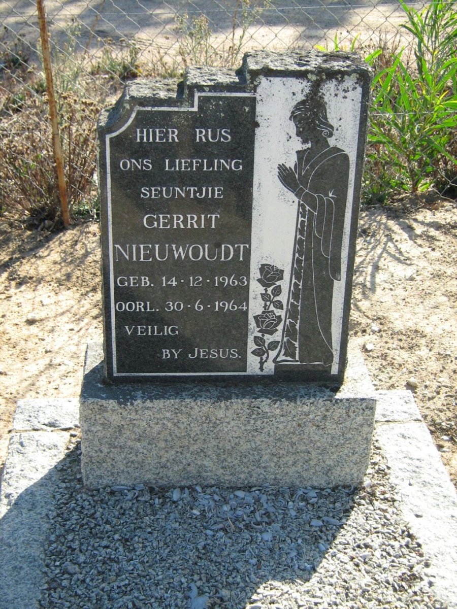 NIEUWOUDT Gerrit 1963-1964