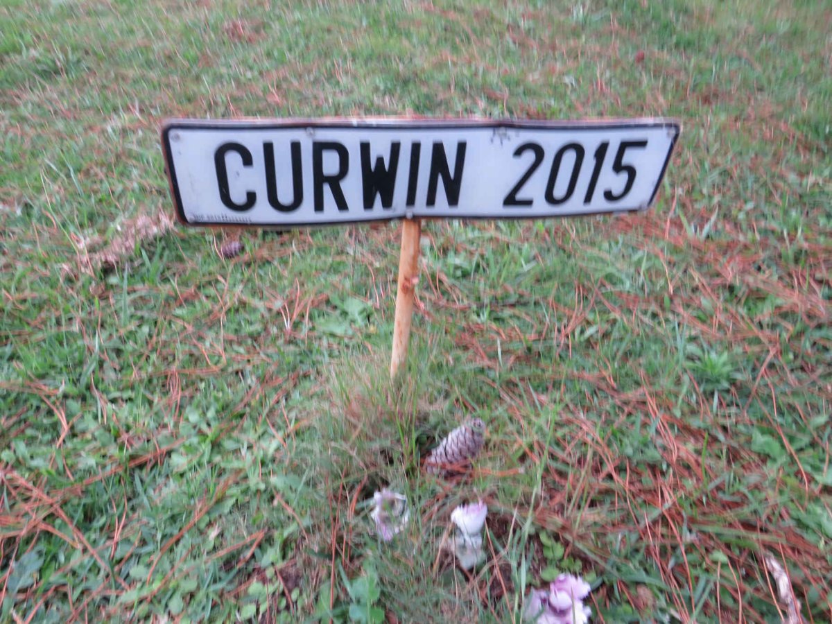 CURWIN? -2015