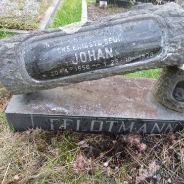 FELDTMANN Johan 1956-1979