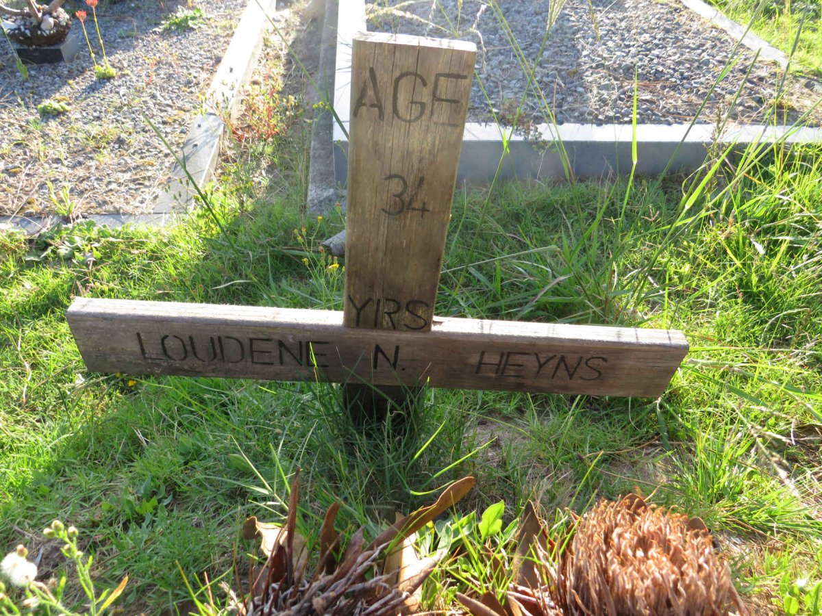 HEYNS Loudene N. 