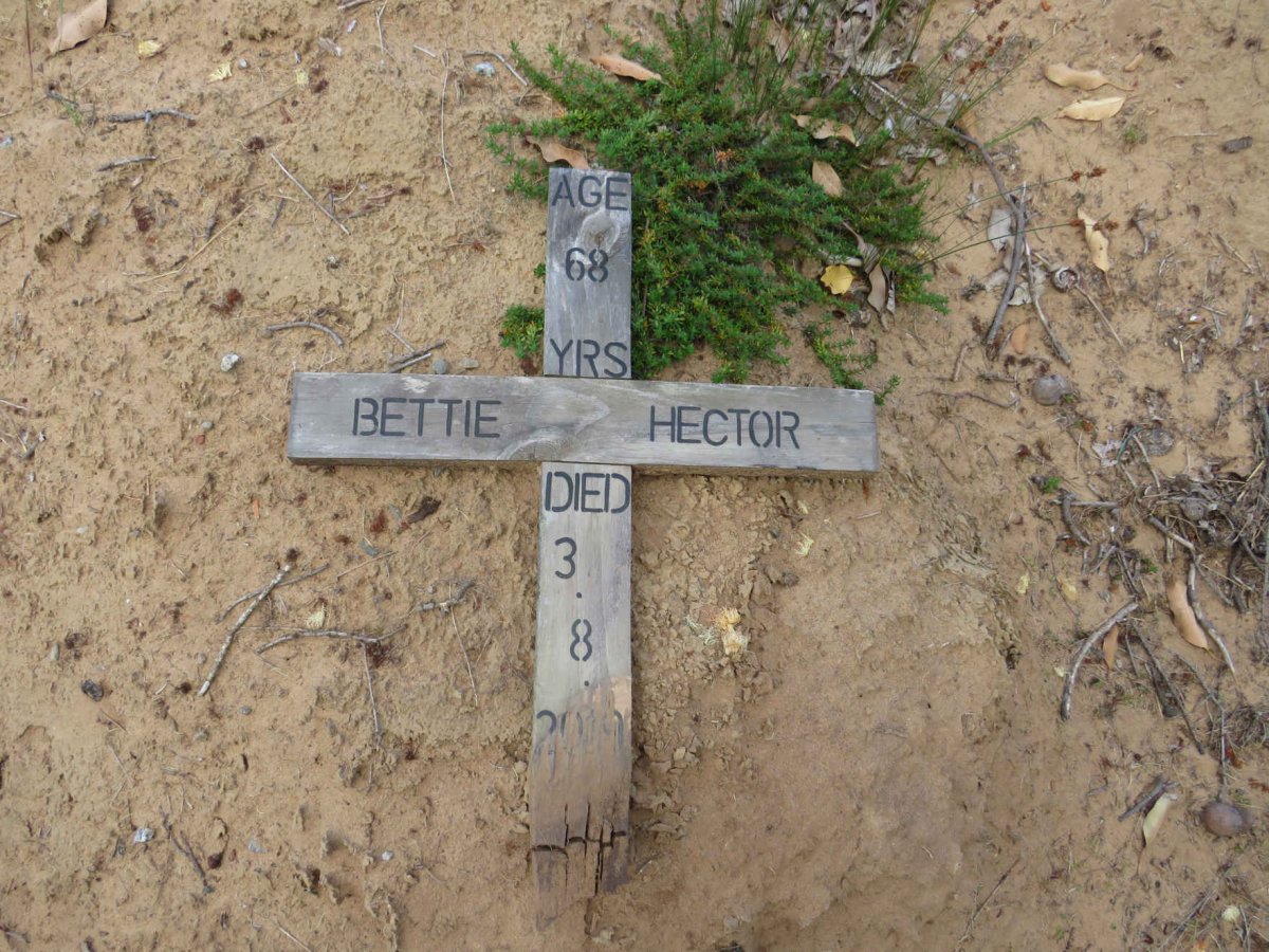 HECTOR Bettie -2019
