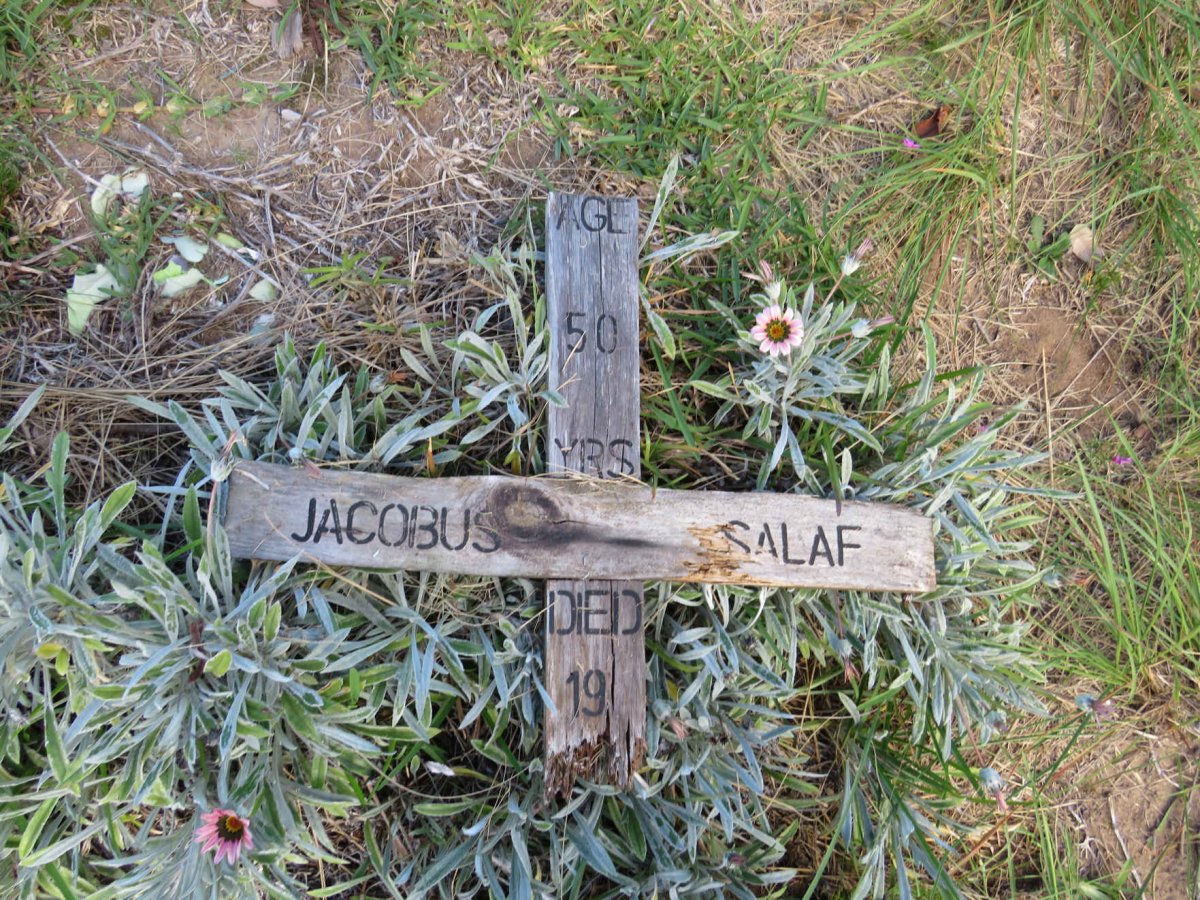 SALAF Jacobus