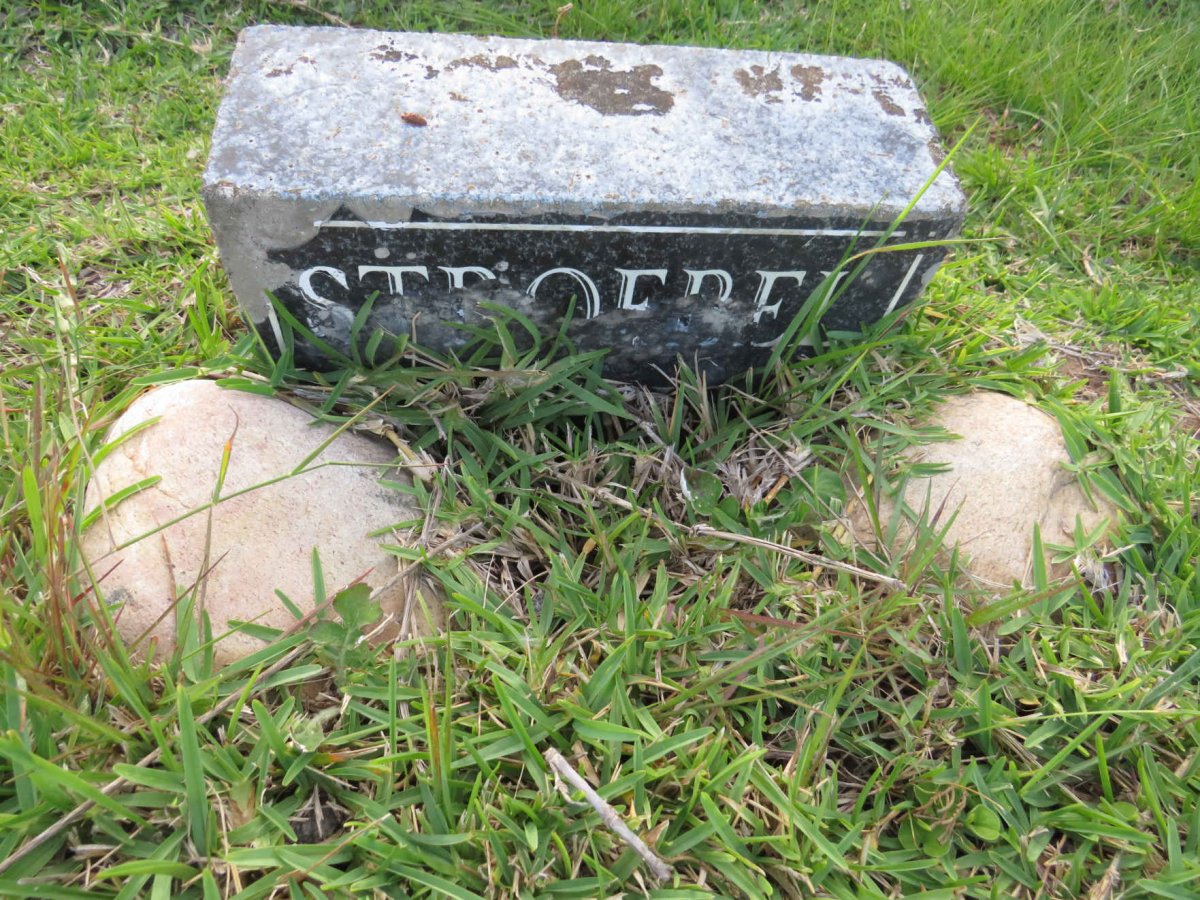 STROEBEL