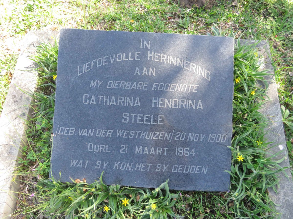 STEELE Catharina Hendrina nee VAN DER WESTHUIZEN 1900-1964