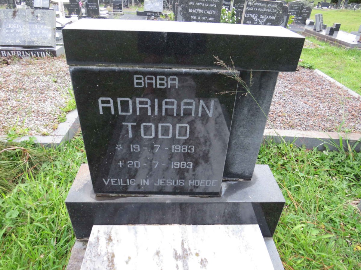 TODD Adriaan 1983-1983