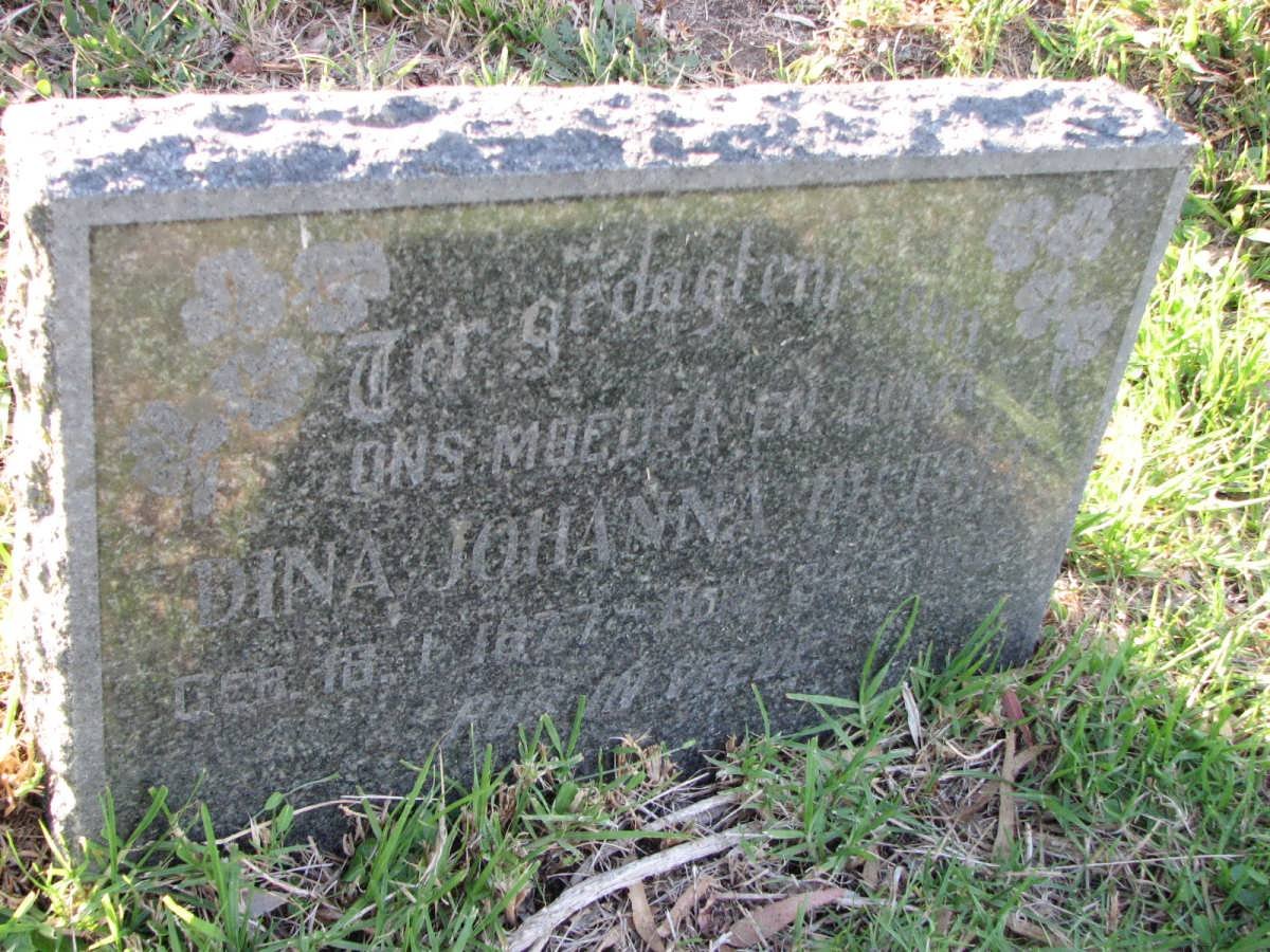 ? Dina Johanna 1877-1962
