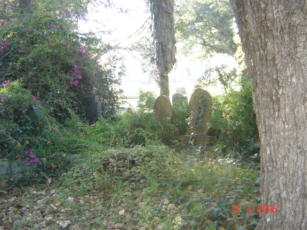 2. Knysna beboste gedeelte