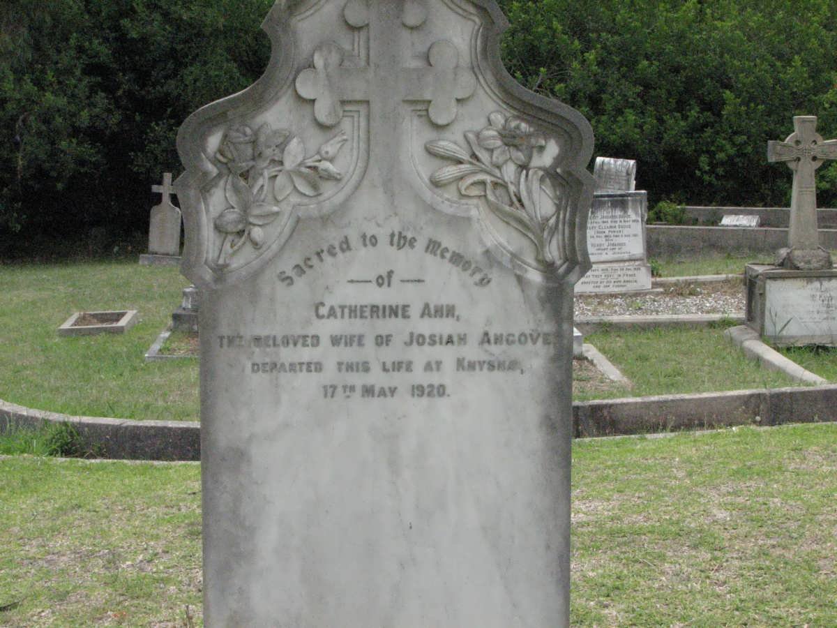 ANGOVE Catherine Ann -1920