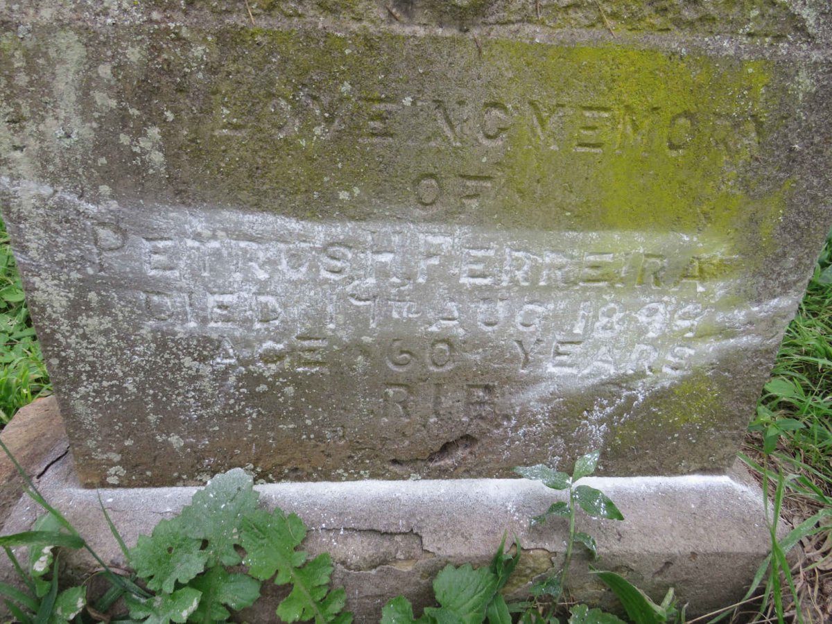 FERREIRA Petrus H.  -1894_02