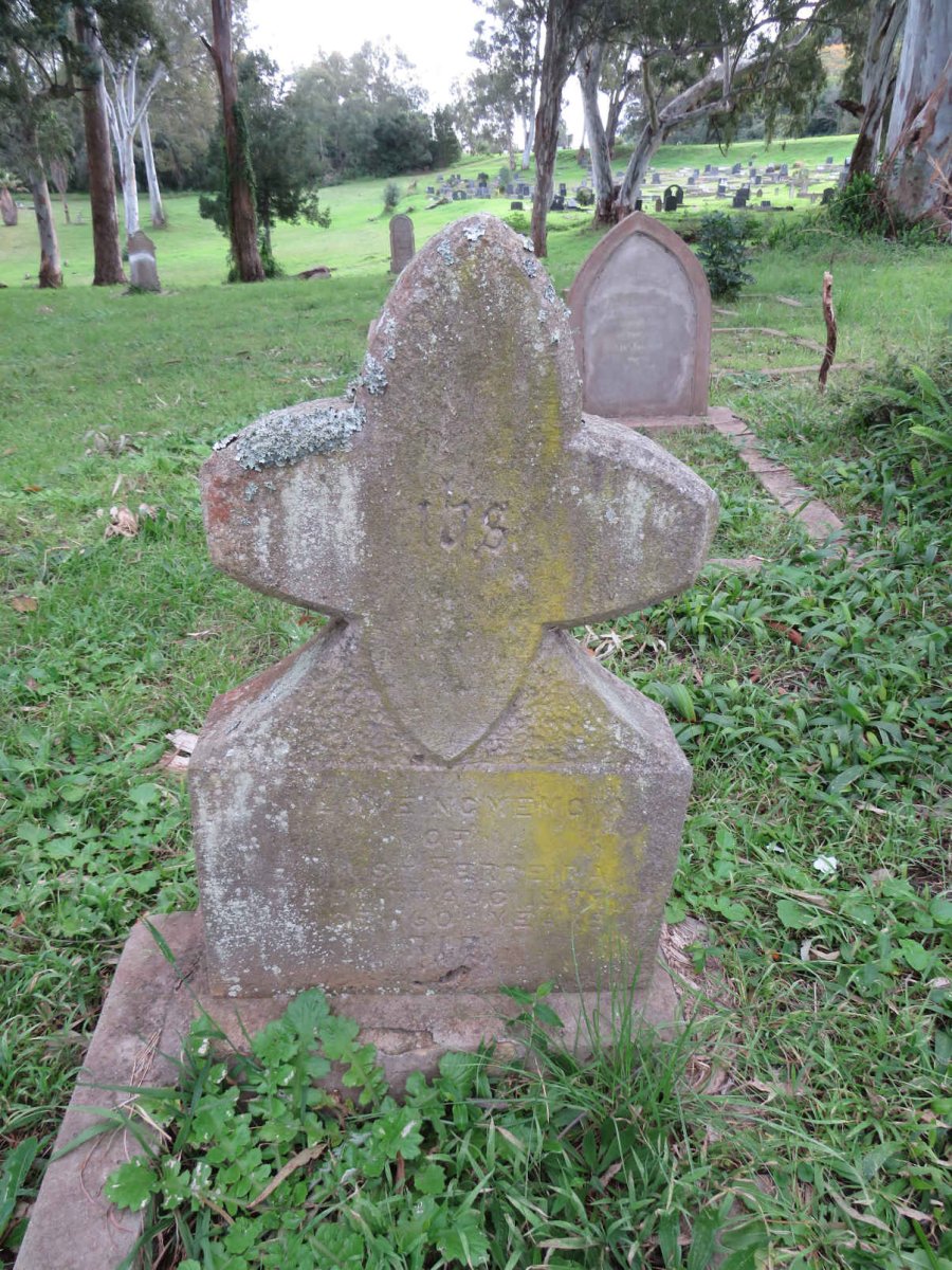 FERREIRA Petrus H.  -1894_01