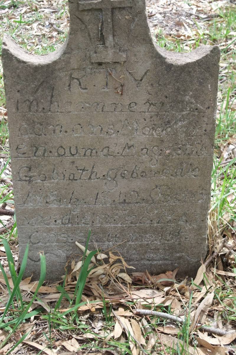 GOLIATH Magaretha 1842