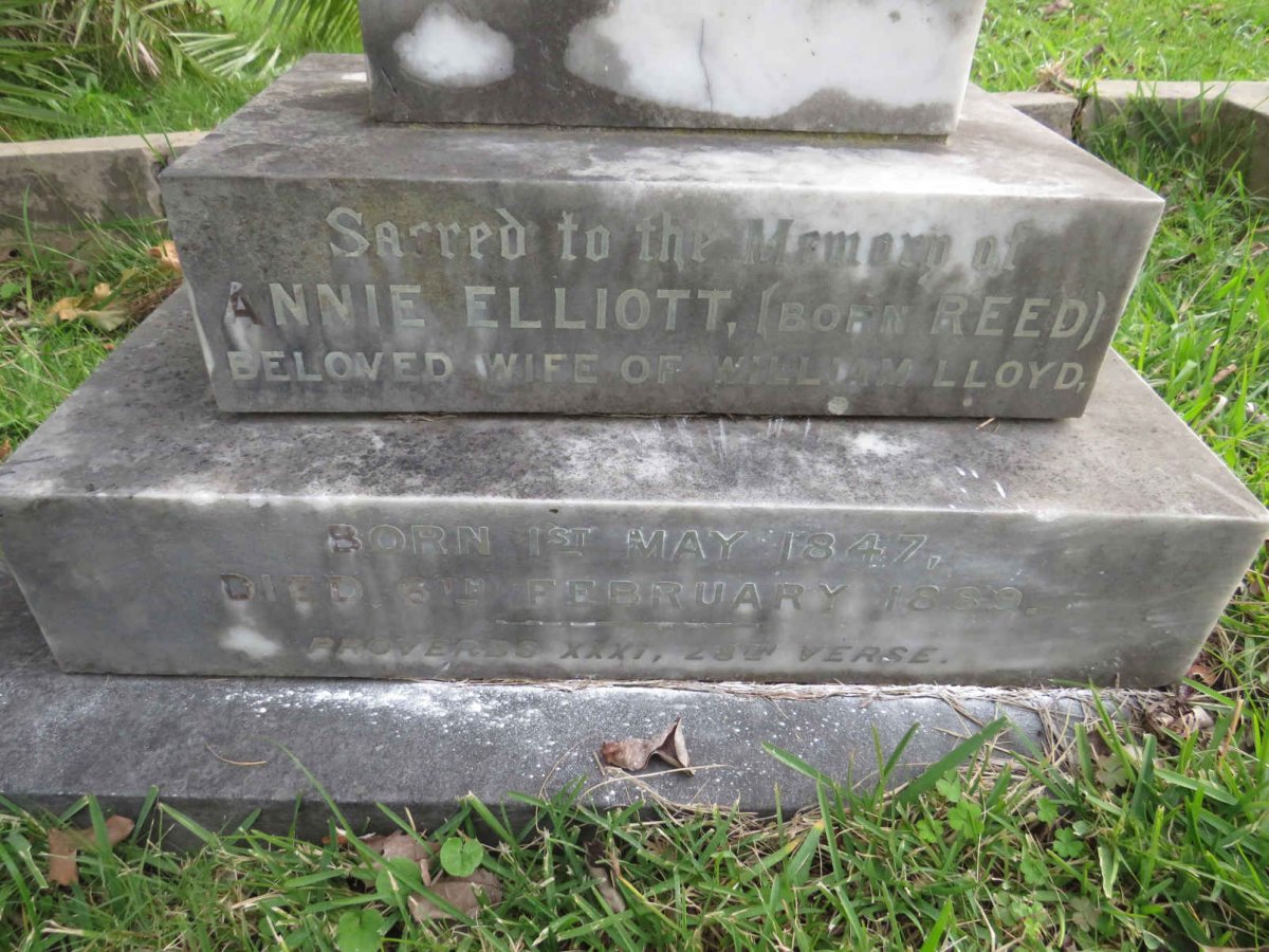 LLOYD Annie Elliott nee REED 1847-1899