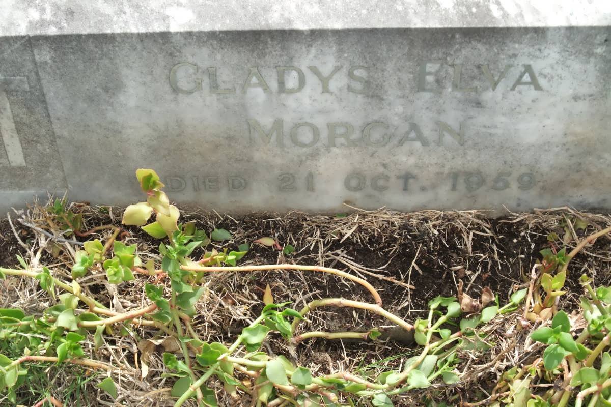 MORGAN Gladys Elva -1959