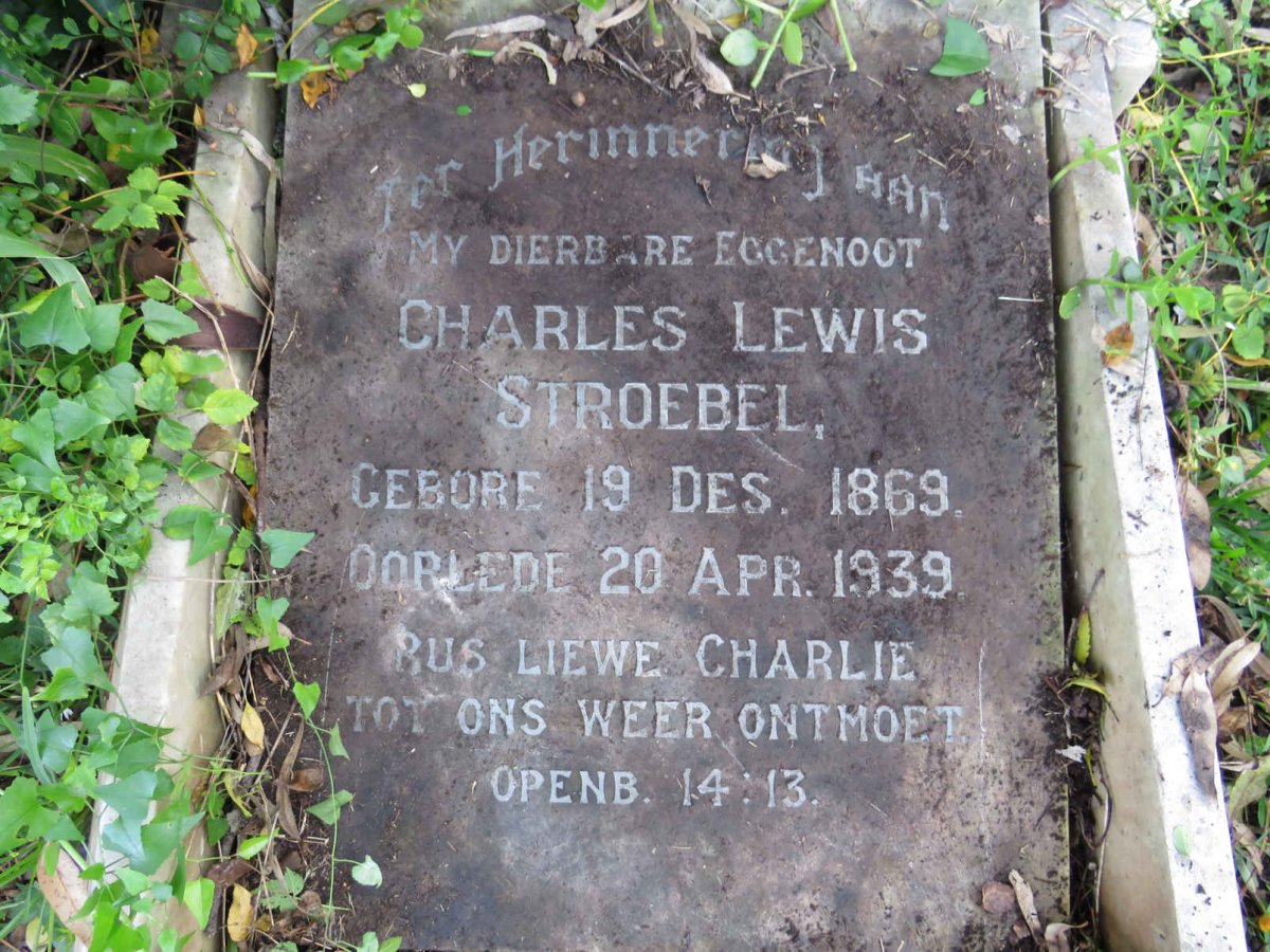 STROEBEL Charles Lewis 1869-1938