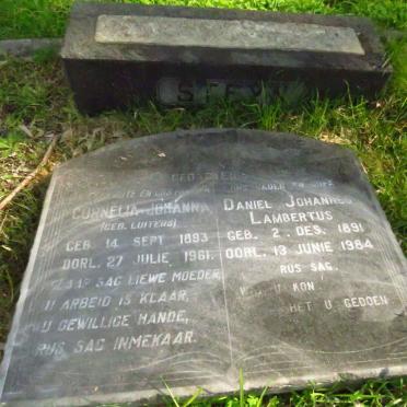 STEYN Daniel Johannes Lambertus 1891-1984 & Cornelia Johanna LUITERS 1893-1961