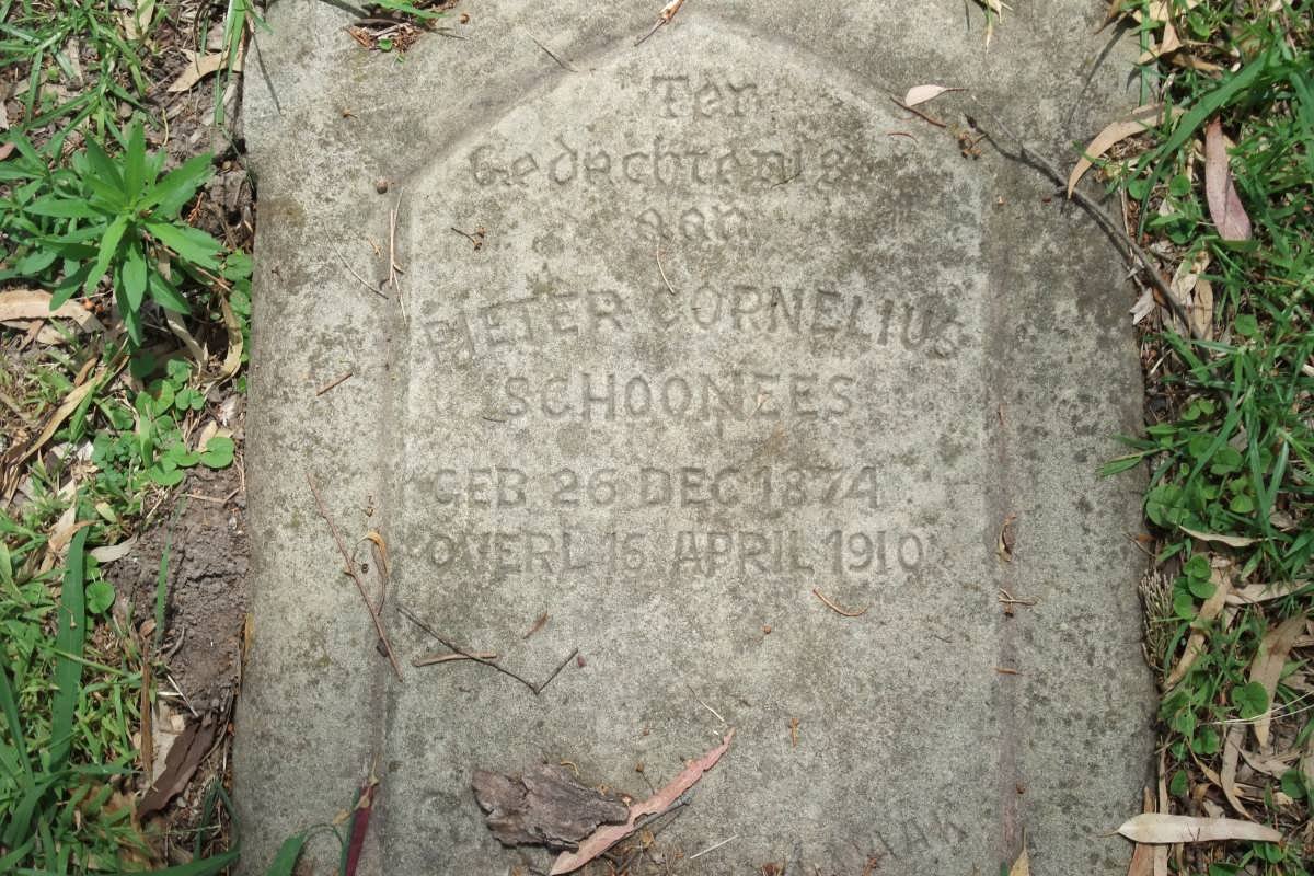 SCHOONEES Pieter Cornelius 1874-1910