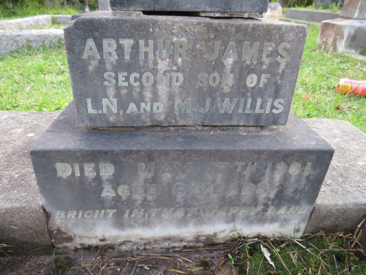 WILLIS Arthur James -1901