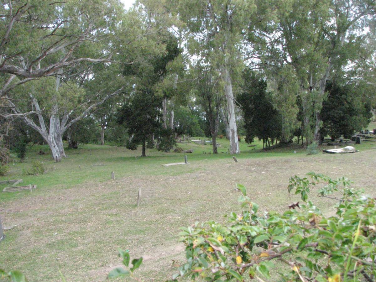 4. Overview
