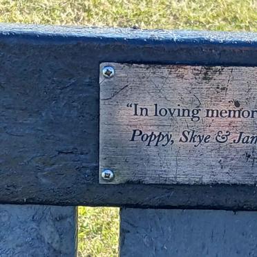 ? Poppy :: ? Skye :: ? Jamie