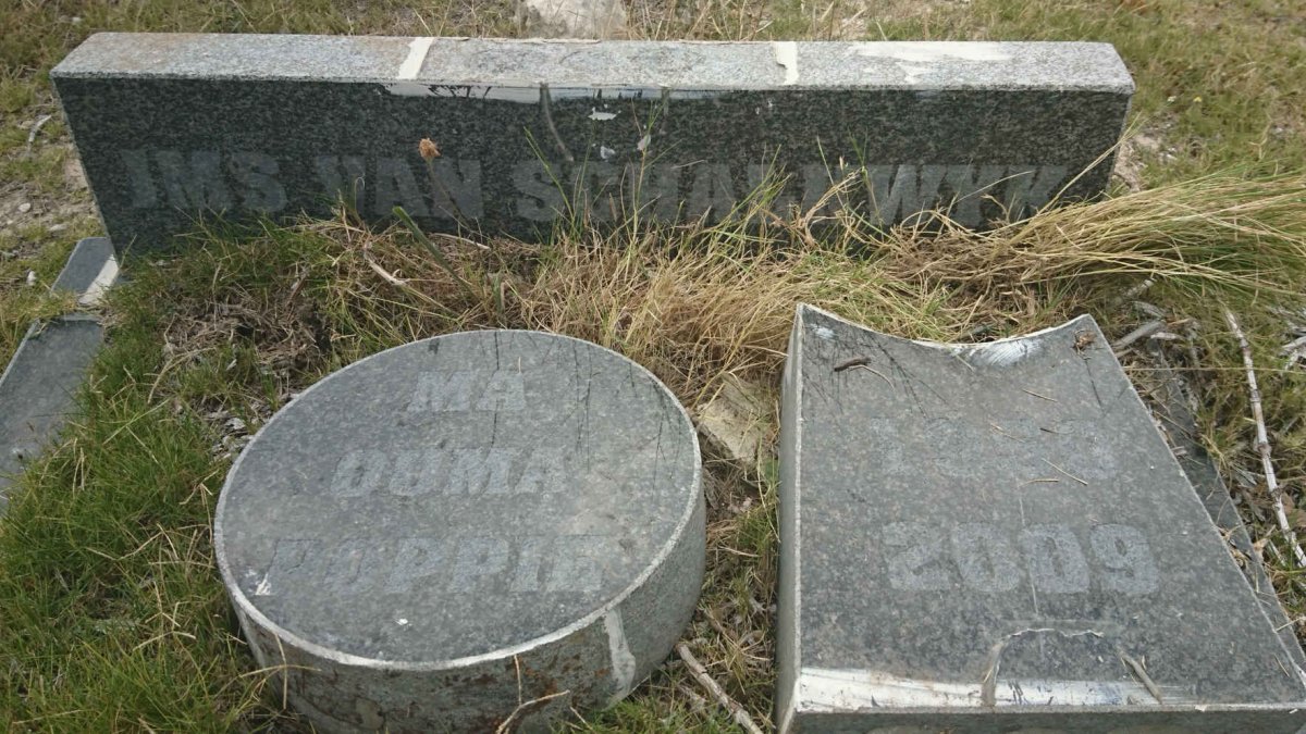 SCHALKWYK I.M.S., van 1923-2009