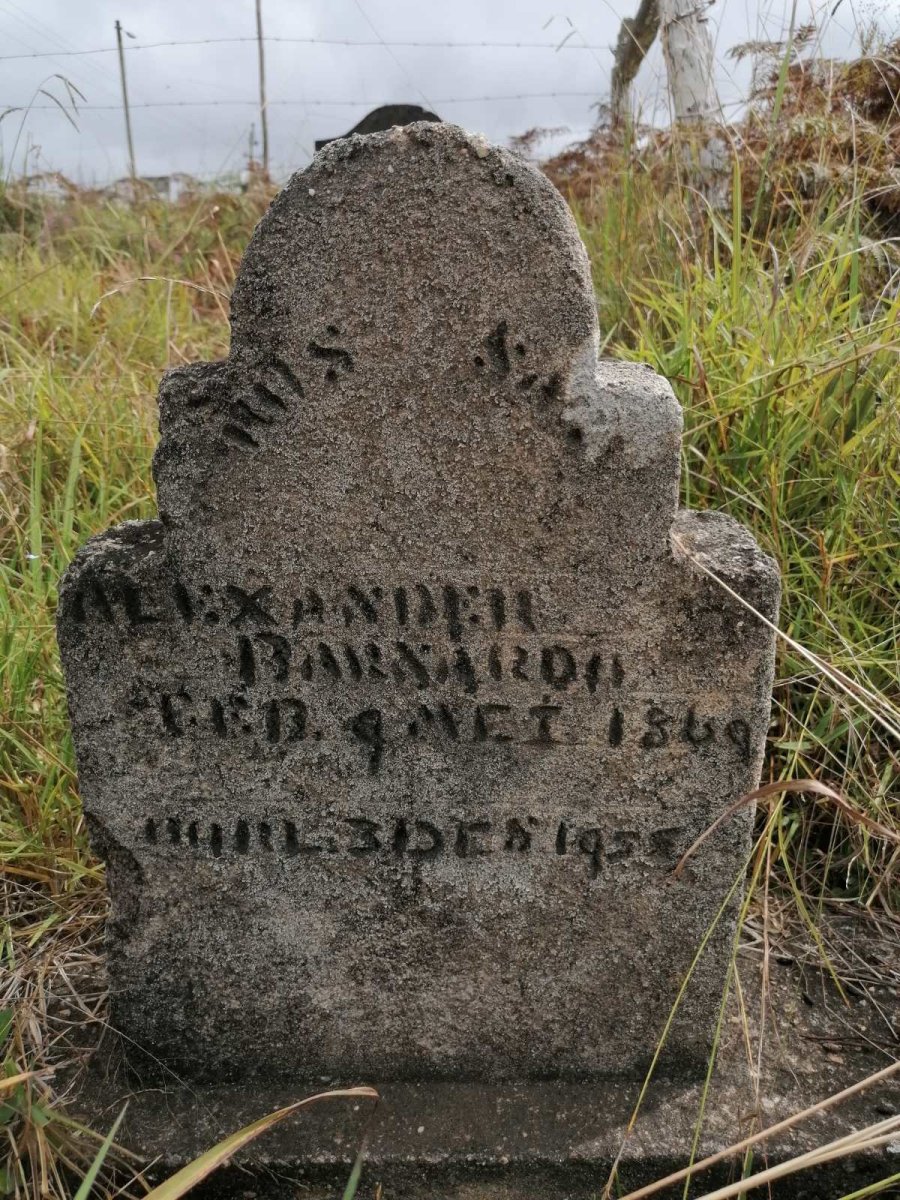 BARNADO Alexander 1869-1955