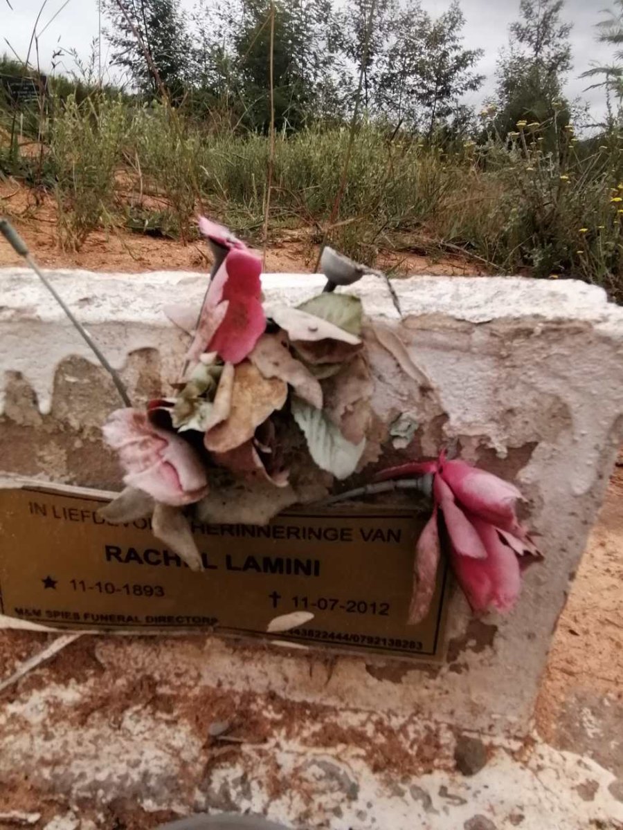 LAMINI Rach?l 1893-2012