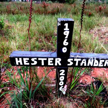 STANDER Hester 1960-2006