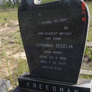 FREEDMAN Johanna Cecelia née MOORE 1900-1979
