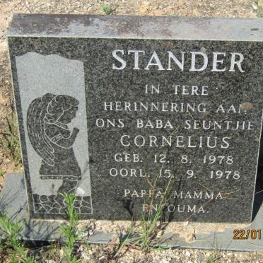 STANDER Cornelius 1978-1978