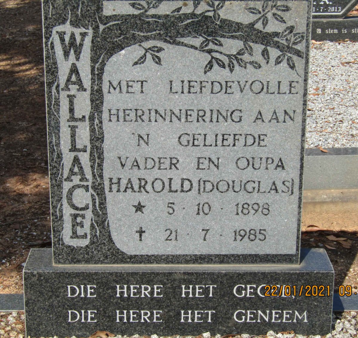 WALLACE Harold 1898-1985