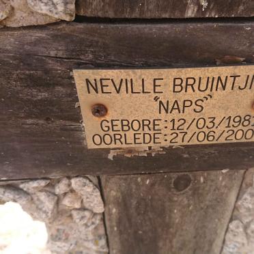 BRUINTJIES Neville 1981-2008