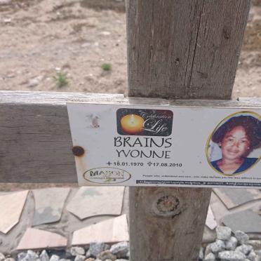 BRAINS Yvonne 1970-2010