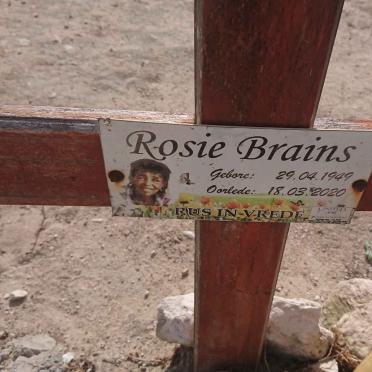 BRAINS Rosie 1949-2020