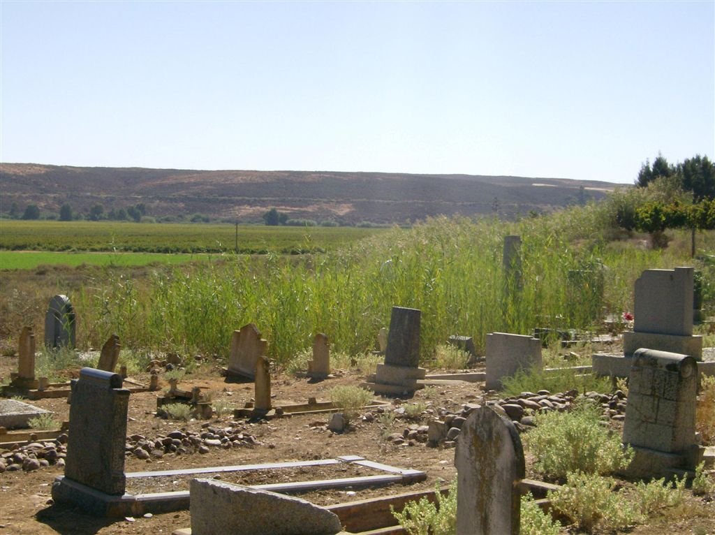 7. Many tombstones are hidden in the shrubs