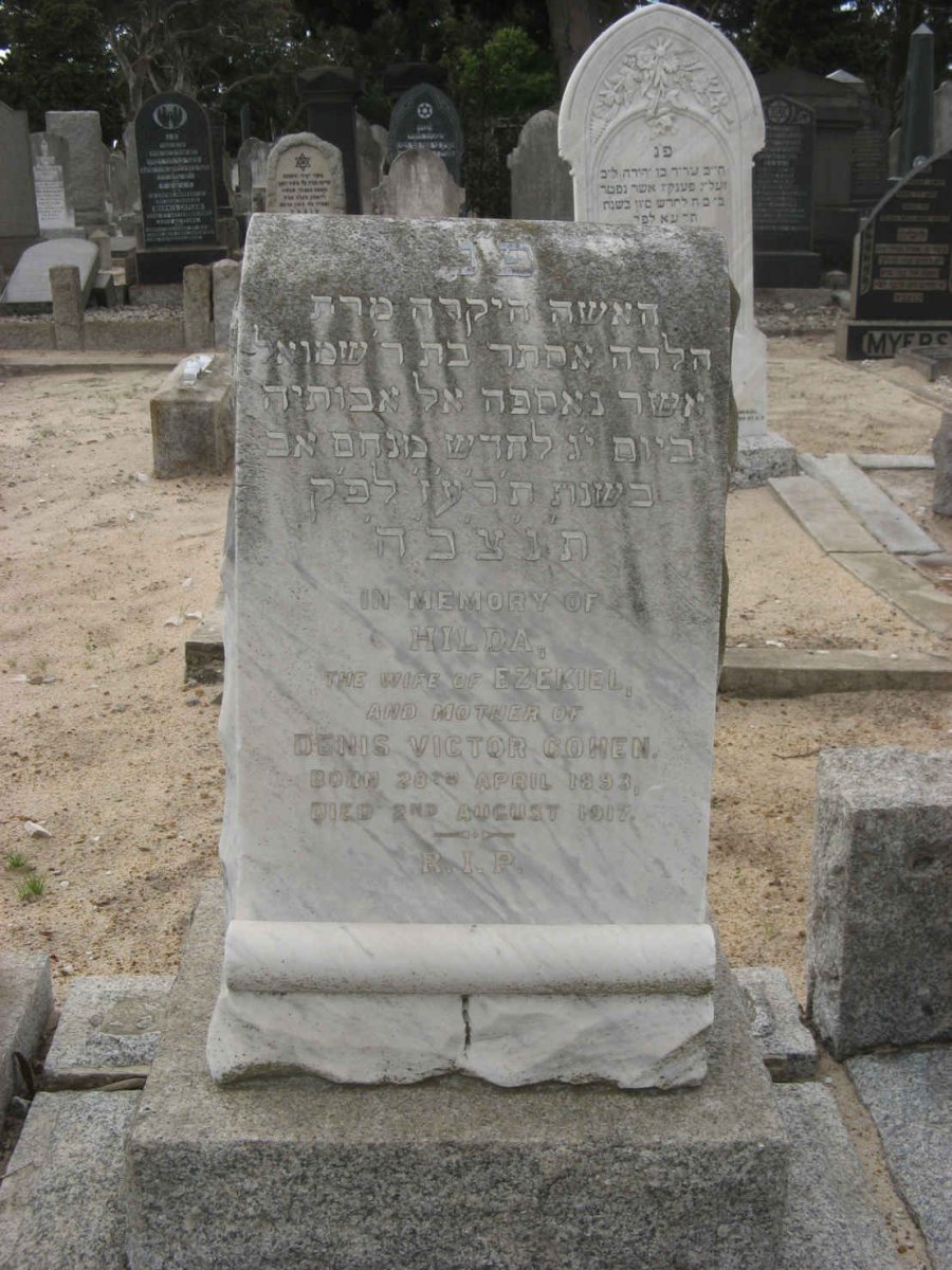 COHEN Hilda 1893-1917