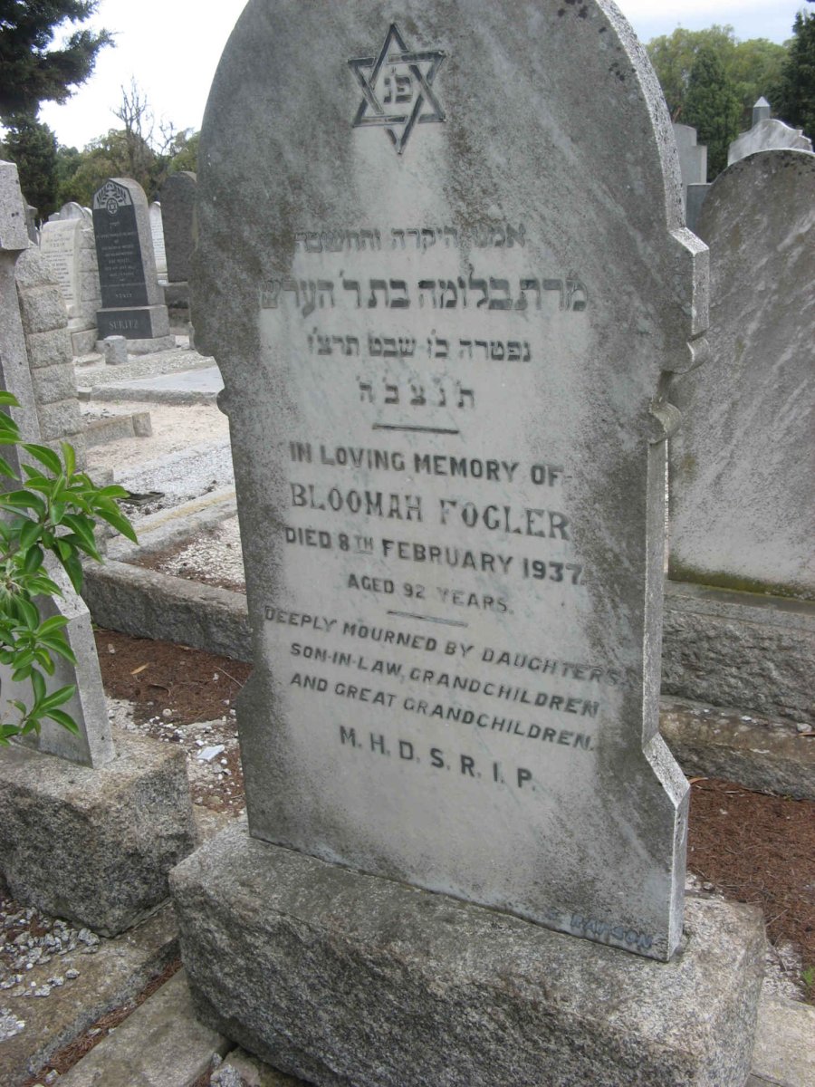 FOGLER Bloomah -1937