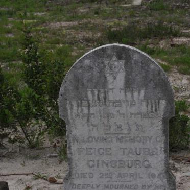 GINSBURG Feige Taube -1941