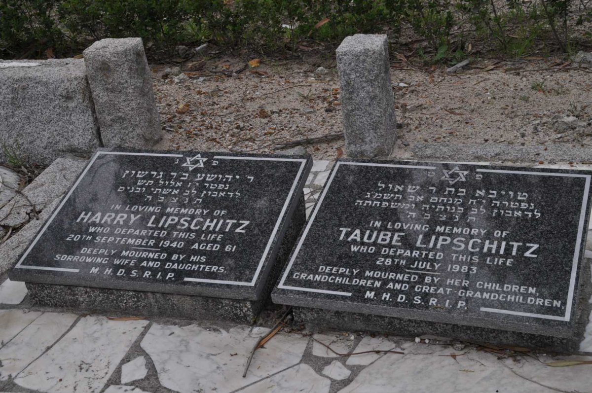 LIPSCHITZ Harry -1940 &amp; Taube -1983