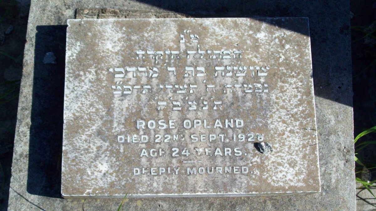OPLAND Rose  -1928 