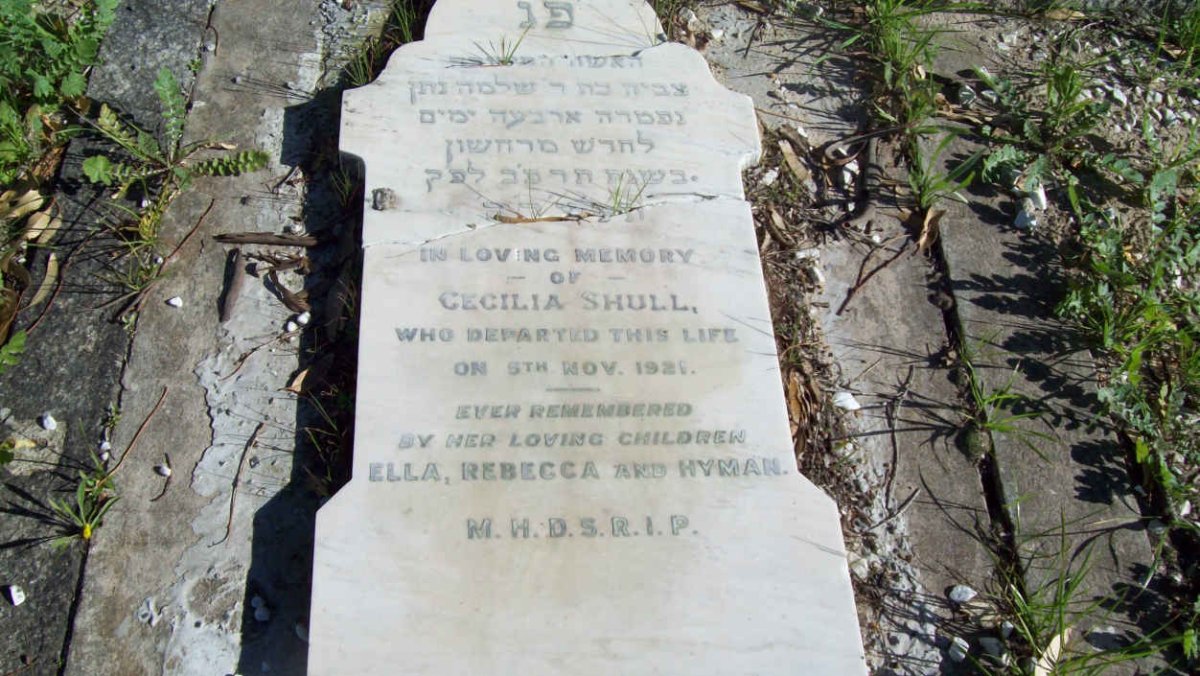 SHULL Cecilia  -1921