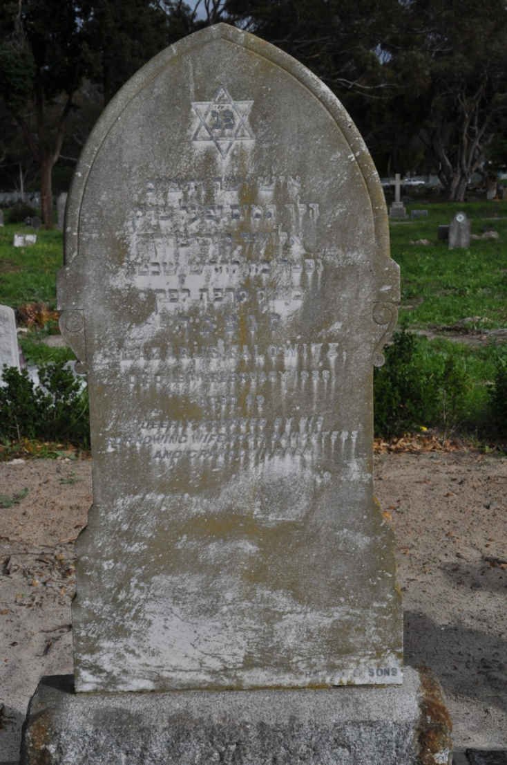 SALOWITZ Lazarus