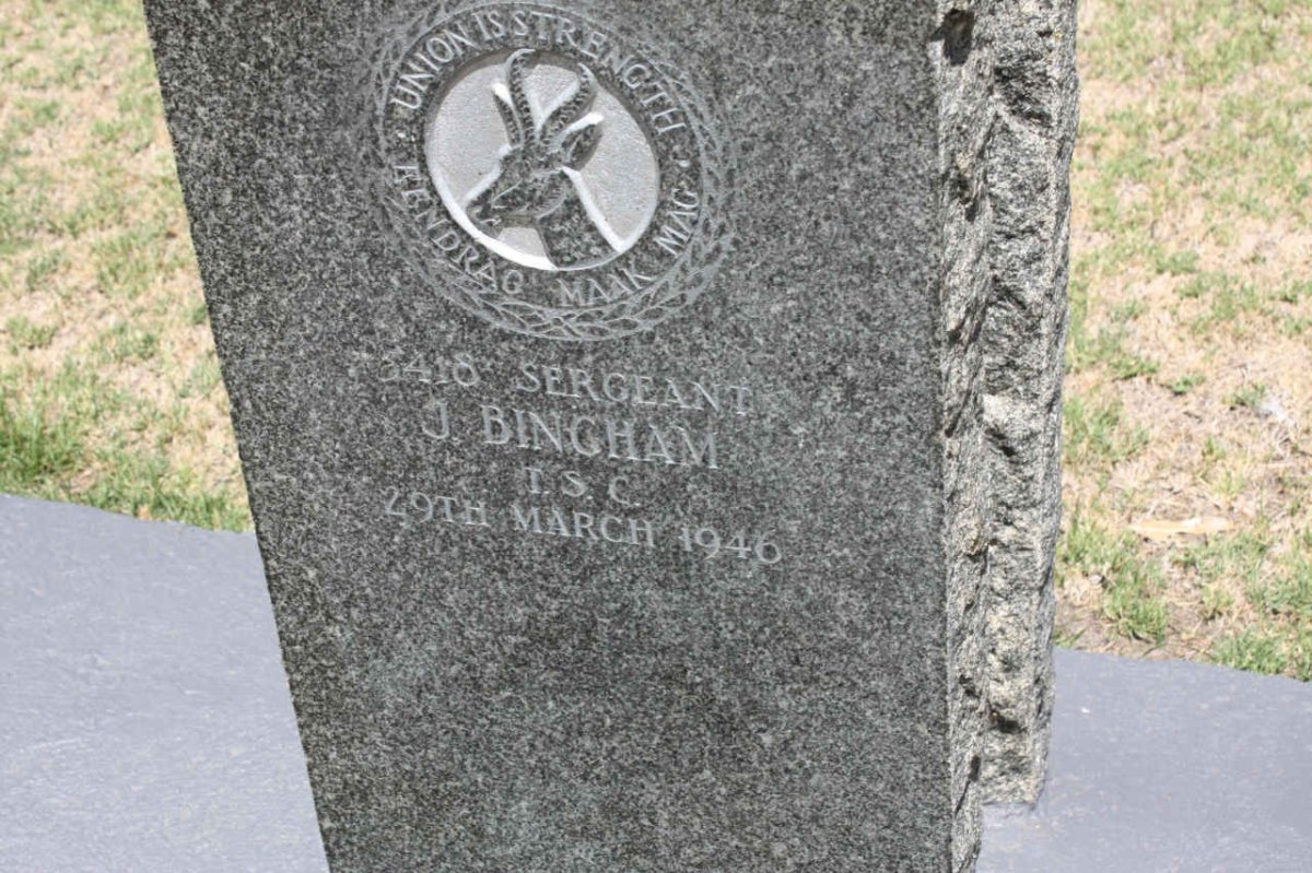 BINGHAM J. -1946